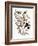 Audubon: Grosbeak-John James Audubon-Framed Giclee Print