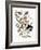 Audubon: Grosbeak-John James Audubon-Framed Giclee Print