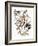 Audubon: Grosbeak-John James Audubon-Framed Giclee Print