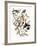 Audubon: Grosbeak-John James Audubon-Framed Giclee Print