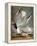 Audubon: Gull-John James Audubon-Framed Premier Image Canvas