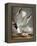 Audubon: Gull-John James Audubon-Framed Premier Image Canvas