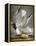 Audubon: Gull-John James Audubon-Framed Premier Image Canvas