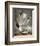 Audubon: Gull-John James Audubon-Framed Premium Giclee Print