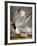 Audubon: Gull-John James Audubon-Framed Premium Giclee Print