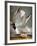 Audubon: Gull-John James Audubon-Framed Premium Giclee Print
