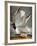 Audubon: Gull-John James Audubon-Framed Premium Giclee Print