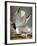 Audubon: Gull-John James Audubon-Framed Premium Giclee Print