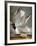 Audubon: Gull-John James Audubon-Framed Premium Giclee Print