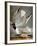 Audubon: Gull-John James Audubon-Framed Premium Giclee Print