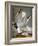 Audubon: Gull-John James Audubon-Framed Giclee Print