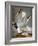 Audubon: Gull-John James Audubon-Framed Giclee Print