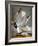 Audubon: Gull-John James Audubon-Framed Giclee Print