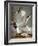 Audubon: Gull-John James Audubon-Framed Giclee Print