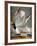 Audubon: Gull-John James Audubon-Framed Giclee Print