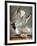 Audubon: Gull-John James Audubon-Framed Giclee Print