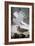 Audubon: Gull-John James Audubon-Framed Giclee Print