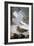 Audubon: Gull-John James Audubon-Framed Giclee Print