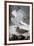 Audubon: Gull-John James Audubon-Framed Giclee Print