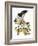 Audubon: Hawk-John James Audubon-Framed Giclee Print