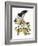 Audubon: Hawk-John James Audubon-Framed Giclee Print