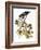 Audubon: Hawk-John James Audubon-Framed Giclee Print
