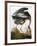 Audubon: Heron-John James Audubon-Framed Giclee Print