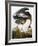 Audubon: Heron-John James Audubon-Framed Premium Giclee Print
