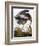 Audubon: Heron-John James Audubon-Framed Giclee Print