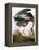 Audubon: Heron-John James Audubon-Framed Premier Image Canvas