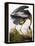 Audubon: Heron-John James Audubon-Framed Premier Image Canvas