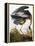 Audubon: Heron-John James Audubon-Framed Premier Image Canvas