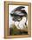 Audubon: Heron-John James Audubon-Framed Premier Image Canvas