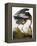 Audubon: Heron-John James Audubon-Framed Premier Image Canvas