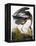 Audubon: Heron-John James Audubon-Framed Premier Image Canvas