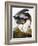 Audubon: Heron-John James Audubon-Framed Giclee Print