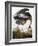 Audubon: Heron-John James Audubon-Framed Giclee Print
