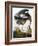 Audubon: Heron-John James Audubon-Framed Giclee Print