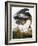 Audubon: Heron-John James Audubon-Framed Giclee Print