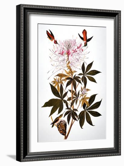 Audubon: Hummingbird-John James Audubon-Framed Giclee Print