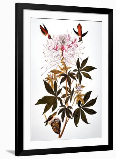 Audubon: Hummingbird-John James Audubon-Framed Giclee Print