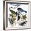 Audubon: Jay And Magpie-John James Audubon-Framed Giclee Print