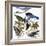 Audubon: Jay And Magpie-John James Audubon-Framed Premium Giclee Print