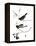 Audubon: Junco, 1827-John James Audubon-Framed Premier Image Canvas
