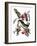 Audubon: Kingbird, 1827-38-John James Audubon-Framed Giclee Print