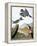 Audubon: Kingfisher, 1827-John James Audubon-Framed Premier Image Canvas