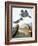 Audubon: Kingfisher, 1827-John James Audubon-Framed Giclee Print