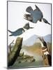 Audubon: Kingfisher, 1827-John James Audubon-Mounted Giclee Print