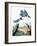 Audubon: Kingfisher-John James Audubon-Framed Giclee Print