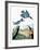 Audubon: Kingfisher-John James Audubon-Framed Giclee Print